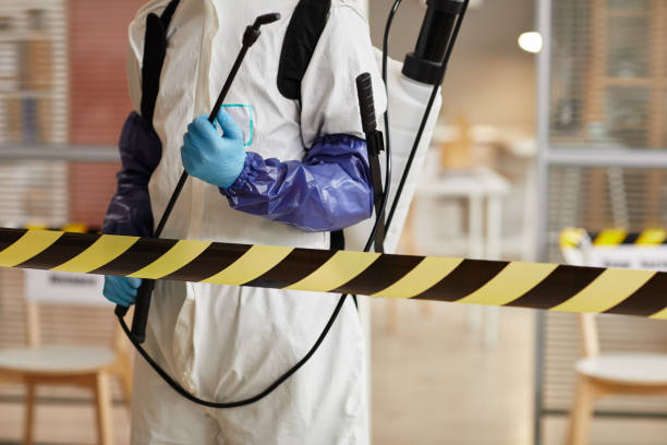Professional Sewage Cleanup technician working in Johnson City, TX