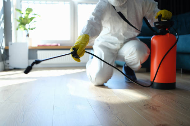 Reliable Sewage Cleanup contractor in Johnson City, TX by Dulley Family Biohazard Services